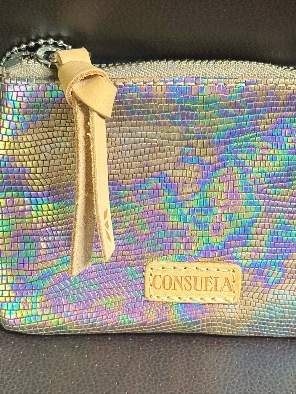 Consuela Gloria Iridescent Zipper Pouch